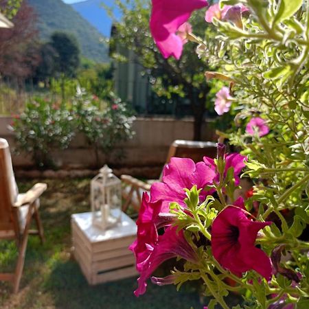 La Civetta Appartamento Con Giardino E Parcheggio Nave  外观 照片